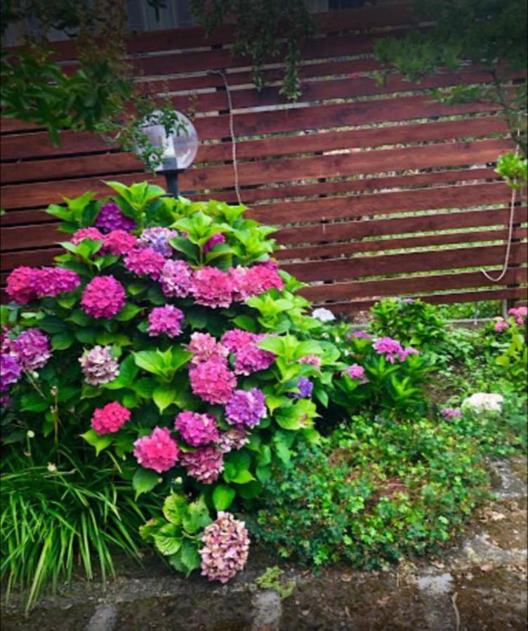 Il Giardino Segreto Apartamento Carbognano Exterior foto