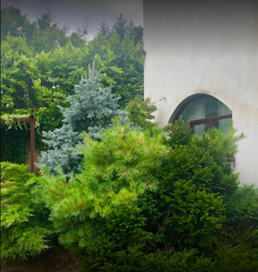 Il Giardino Segreto Apartamento Carbognano Exterior foto
